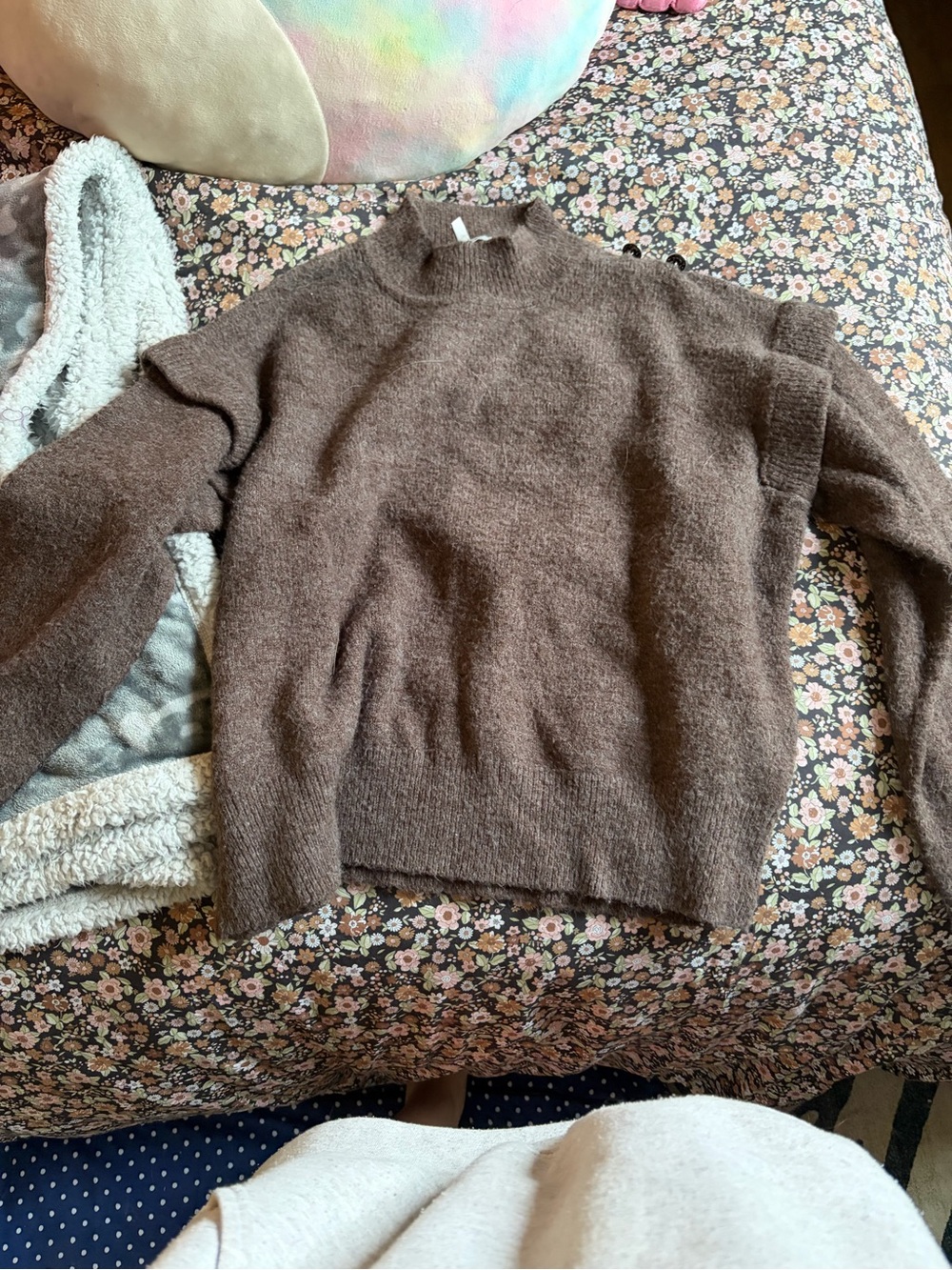 Cozy Women's Brown Mock-Neck Sweater